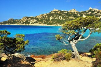 Corsica, o insula incantatoare
