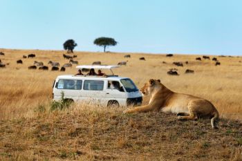 Idei preconcepute despre calatoria in Africa