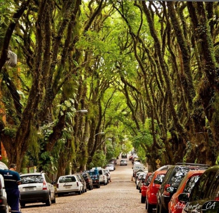 strada frumoasa nr 4 bucuresti