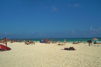 Apele si plajele din Caraibe si Cancun arata si miros groaznic