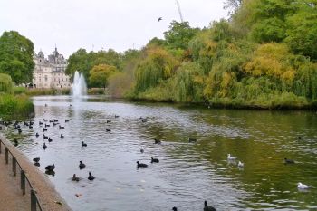 Daca iubiti natura, iata principalul motiv sa vizitati Londra! Lista celor mai frumoase 10 parcuri si gradini regale din care veti pleca cu amintiri de neuitat - foto 2