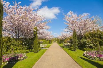 Daca iubiti natura, iata principalul motiv sa vizitati Londra! Lista celor mai frumoase 10 parcuri si gradini regale din care veti pleca cu amintiri de neuitat - foto 4
