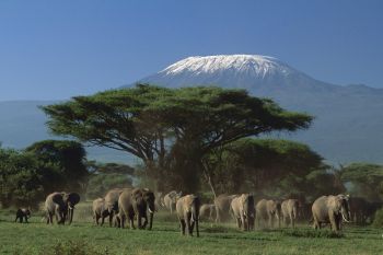 Va invitam pe taramuri de o frumusete uluitoare - Kenya!