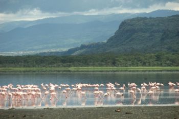 Va invitam pe taramuri de o frumusete uluitoare - Kenya! - foto 1