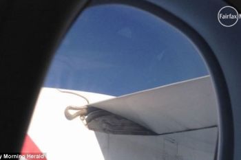 Un piton a calatorit pe aripa unui avion (FOTO, VIDEO) - foto 1