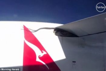 Un piton a calatorit pe aripa unui avion (FOTO, VIDEO) - foto 2