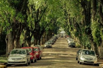 Cea mai frumoasa strada din lume (FOTO) - foto 2