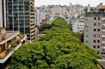 Cea mai frumoasa strada din lume (FOTO) - foto 3