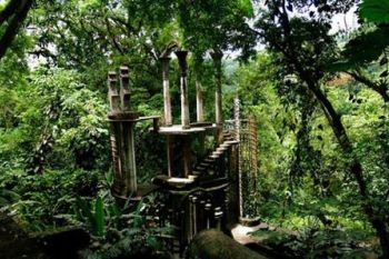 Paradisul din jungla mexicana (FOTO) - foto 2