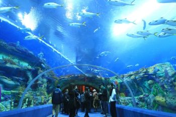 Cel mai mare acvariu din lume, inaugurat in China - foto 1