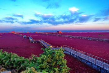 Plaja rosie din nord-estul Chinei (FOTO) - foto 1