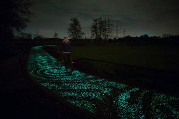 Frumusete futuristica: pista pentru biciclisti, care lumineaza in intuneric (FOTO)