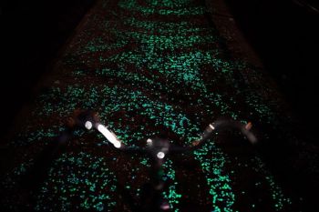 Frumusete futuristica: pista pentru biciclisti, care lumineaza in intuneric (FOTO) - foto 1