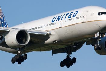 Cum sa nu cari cainele in avion: United Airlines isi asuma vina pentru moartea unui patruped